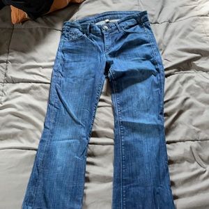 Habitual Jeans | Dark Wash | Flared Bottom